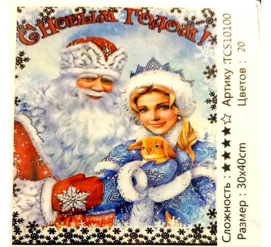 Алмазная мозаика на подрамнике "Дед Мороз со Снегурочкой" 30х40 TCS10100
