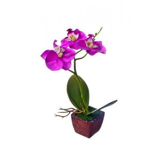 Цветок в кашпо "Орхидея"