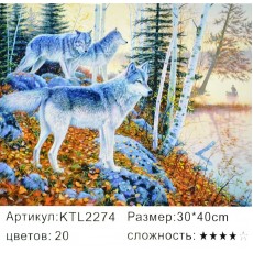 Картина по номерам 30x40 "Волки на озере"
