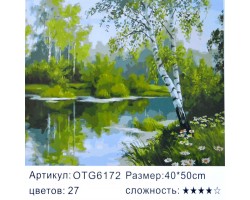 Картина-раскраска по номерам 40x50 "Берёза над водой"