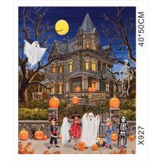 Картина-раскраска по номерам 40x50 "Дом с привидениями"
