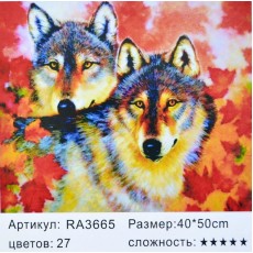 Картина-раскраска по номерам 40x50 "Осенние волки"